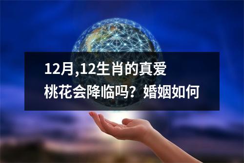 <h3>12月,12生肖的真爱桃花会降临吗？婚姻如何