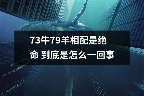 <h3>73牛79羊相配是绝命到底是怎么一回事