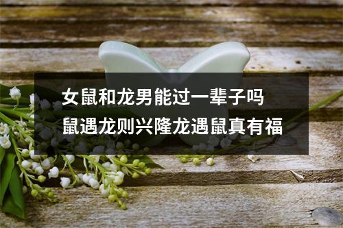 <h3>女鼠和龙男能过一辈子吗鼠遇龙则兴隆龙遇鼠真有福