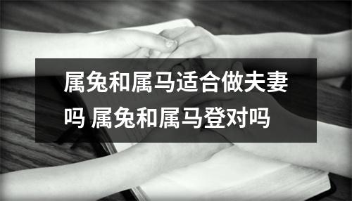 <h3>属兔和属马适合做夫妻吗属兔和属马登对吗