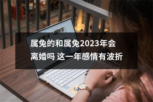 <h3>属兔的和属兔2025年会离婚吗这一年感情有波折