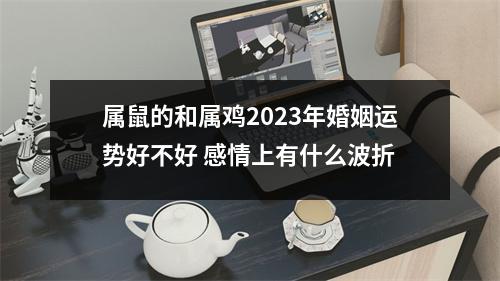 <h3>属鼠的和属鸡2025年婚姻运势好不好感情上有什么波折