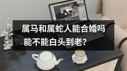 <h3>属马和属蛇人能合婚吗能不能白头到老？