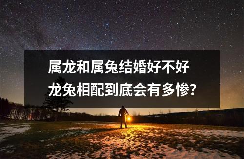 <h3>属龙和属兔结婚好不好龙兔相配到底会有多惨？