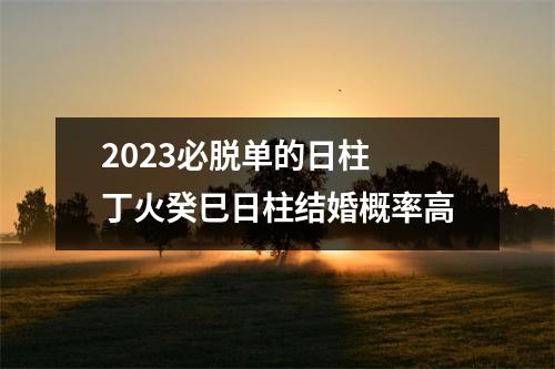 <h3>2025必脱单的日柱丁火癸巳日柱结婚概率高