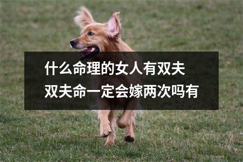 <h3>什么命理的女人有双夫双夫命一定会嫁两次吗有