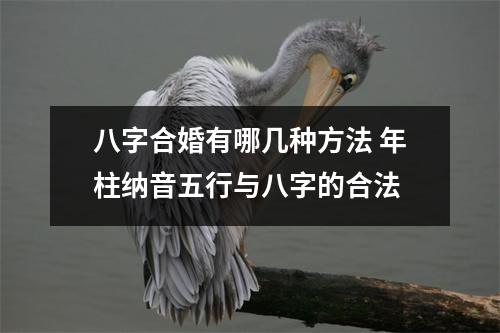 <h3>八字合婚有哪几种方法年柱纳音五行与八字的合法