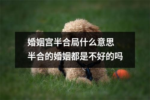 <h3>婚姻宫半合局什么意思半合的婚姻都是不好的吗