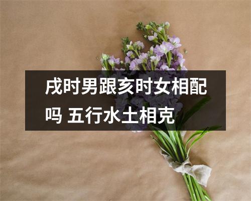 <h3>戌时男跟亥时女相配吗五行水土相克