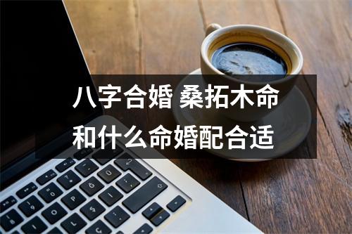 <h3>八字合婚桑拓木命和什么命婚配合适