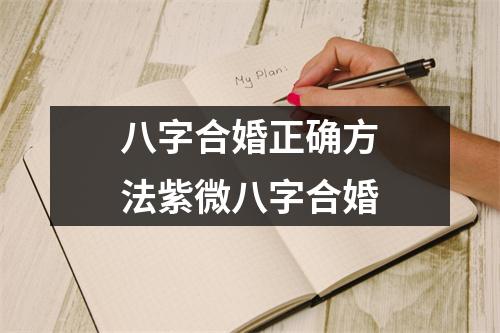 <h3>八字合婚正确方法紫微八字合婚