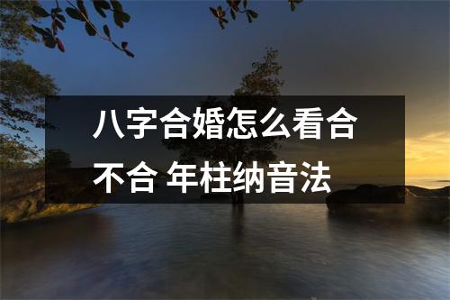 <h3>八字合婚怎么看合不合年柱纳音法